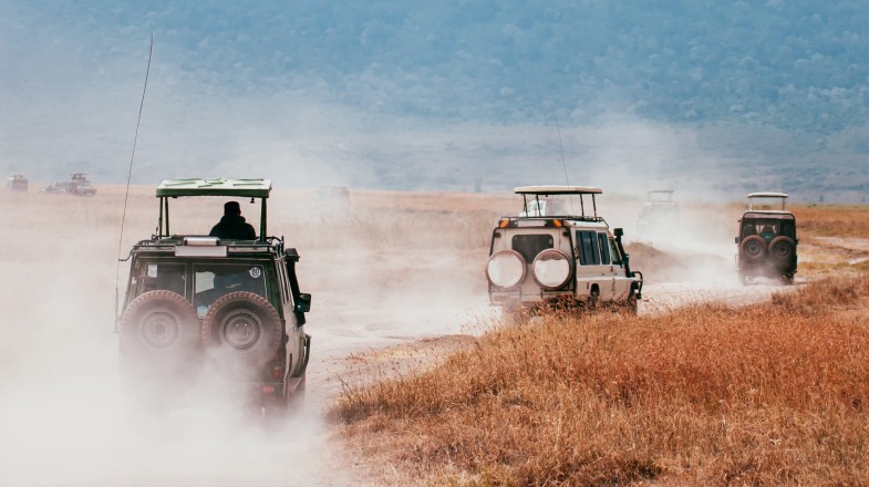 Game drive to Serengeti—one of the best places to visit in Tanzania
